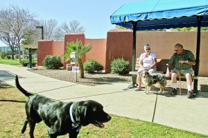 Dog park