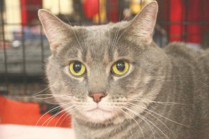 Someone to love: Jake