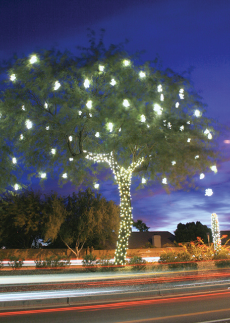Festival of Lights kicks off this Saturday