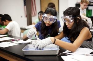 Top Schools
