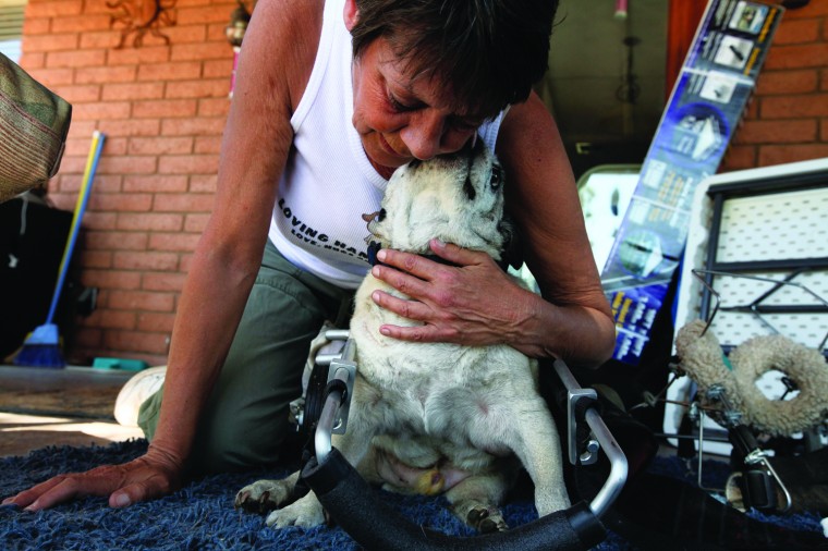afn.052610.com.petrescue10.jpg