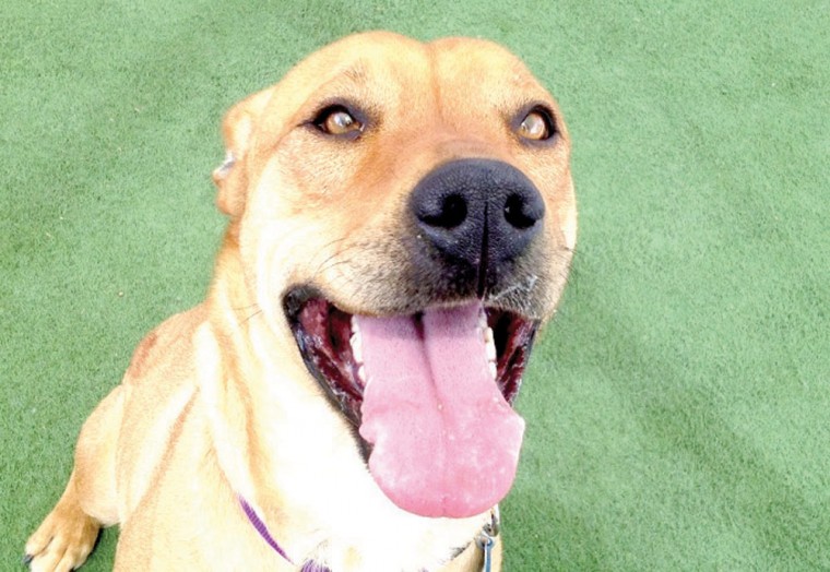 Someone to love: Almond