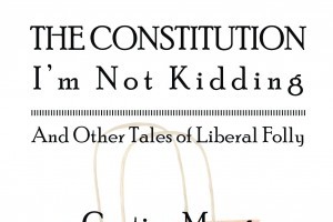 The Constitution I'm Not Kidding