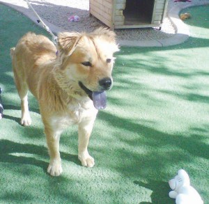 Someone to love: Bianca