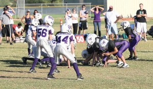 South East Valley (SEV) Football
