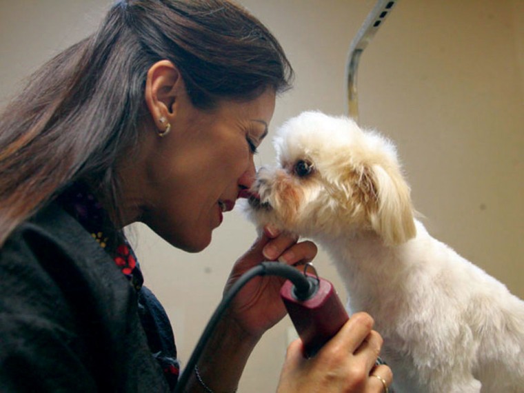 Best pet grooming