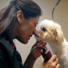 Best pet grooming: Fluffy Tails Pet Salon