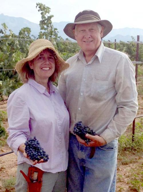 Vineyard