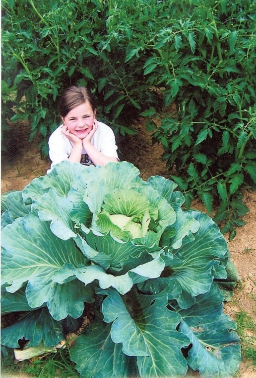 Bonnie Plants' 3rd Grade Cabbage Program