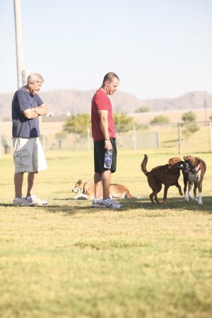 afn.100610.com.dogpark3.jpg