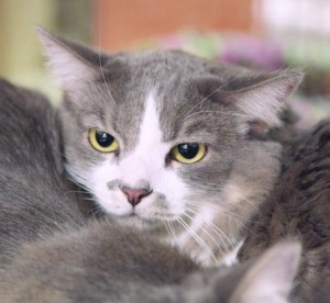Someone to love: Barry