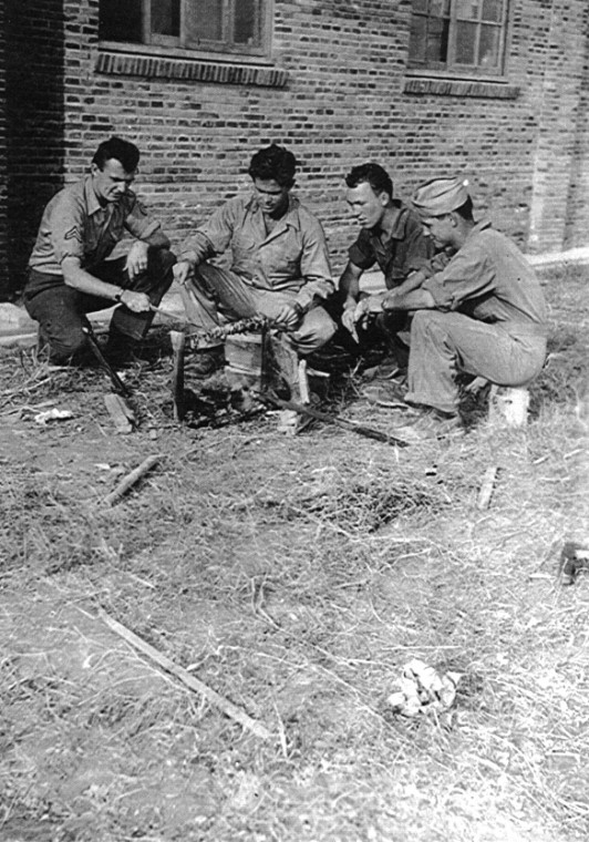 Veterans Day