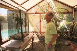 Hummingbird rescuing in AF 