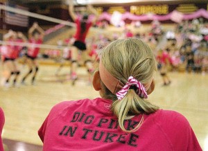 afn.102412.sp.digpink.jpg