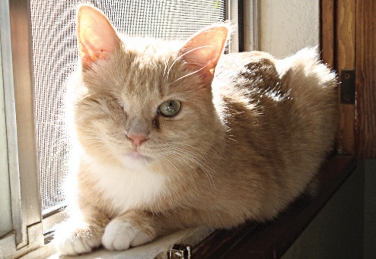 Someone to love: Ellie