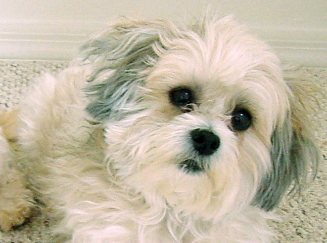 Have you seen Tukee?