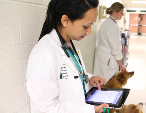 Ellens veterinary consultation app