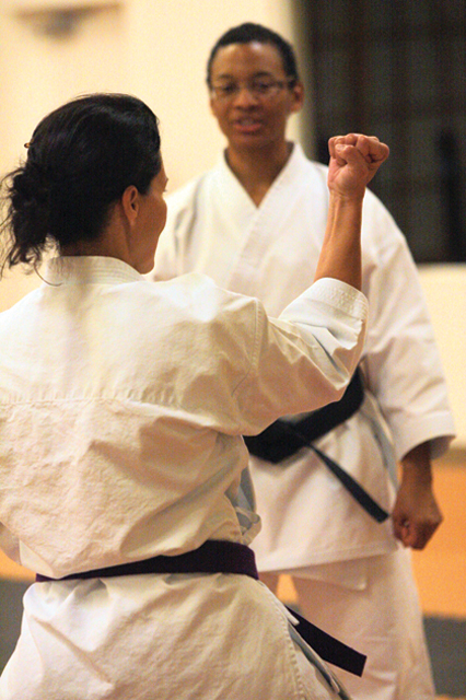 Chamber event features scratching, kicking and safety 