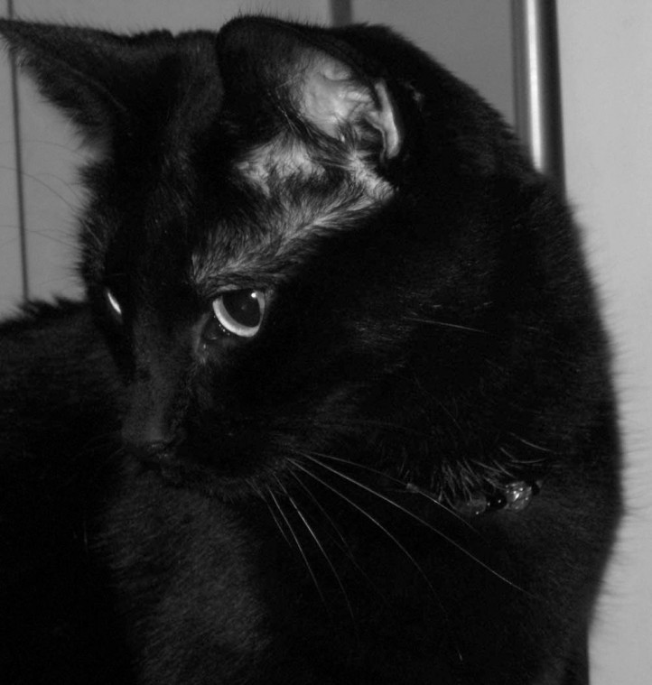Someone to love: Sabrina