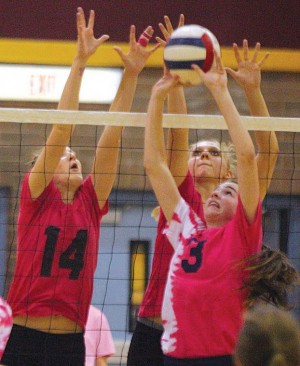 afn.102412.sp.digpink3.jpg