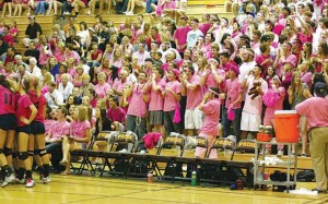 afn.102412.sp.digpink2.jpg