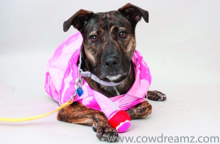 Someone to love: Lily Bridgette