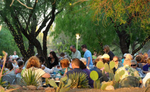 Desert Botanical Garden