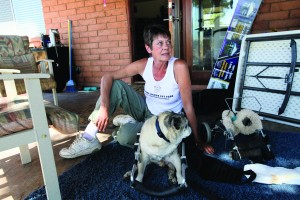 afn.052610.com.petrescue.jpg