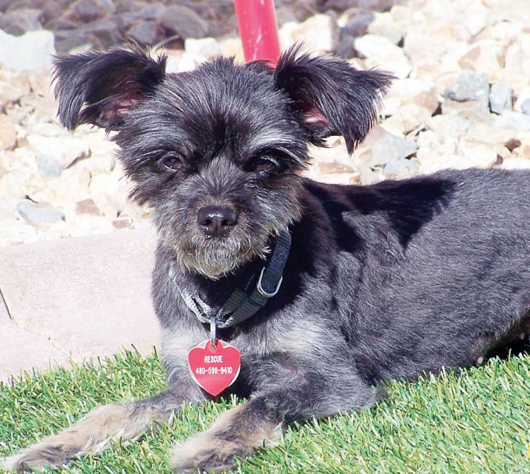 Someone to love: Abby