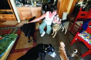 afn.052610.com.petrescue4.jpg