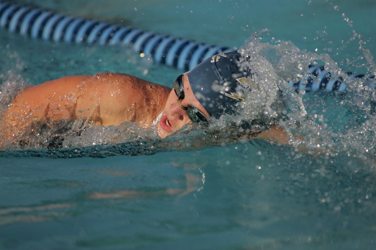 DV Swim