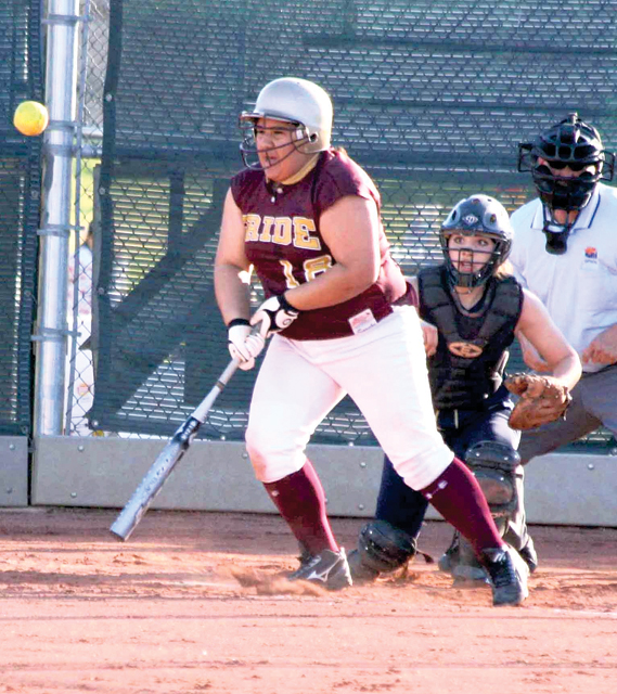 Cano bullish on Phoenix College Bears 
