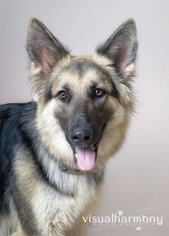 Someone to love: Tessa