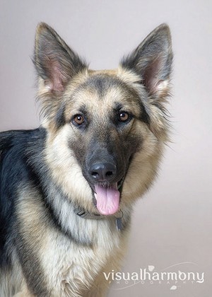Someone to love: Tessa