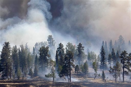 Arizona Wildfires