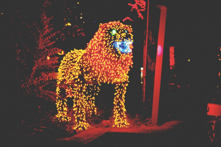 Zoolights