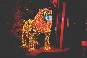Zoolights