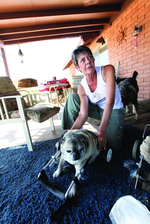 afn.052610.com.petrescue9.jpg