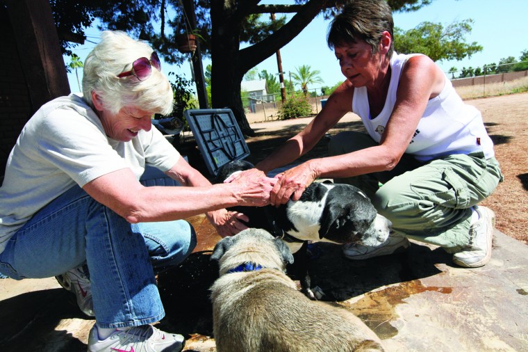 afn.052610.com.petrescue14.jpg