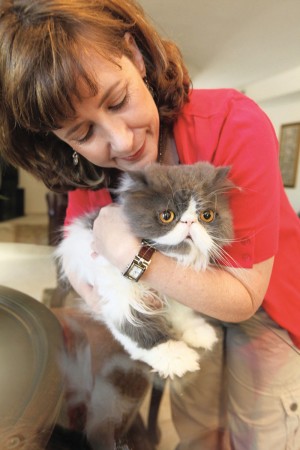 afn.082510.com.animalrescue6.jpg