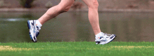 A marathon for many reasons 