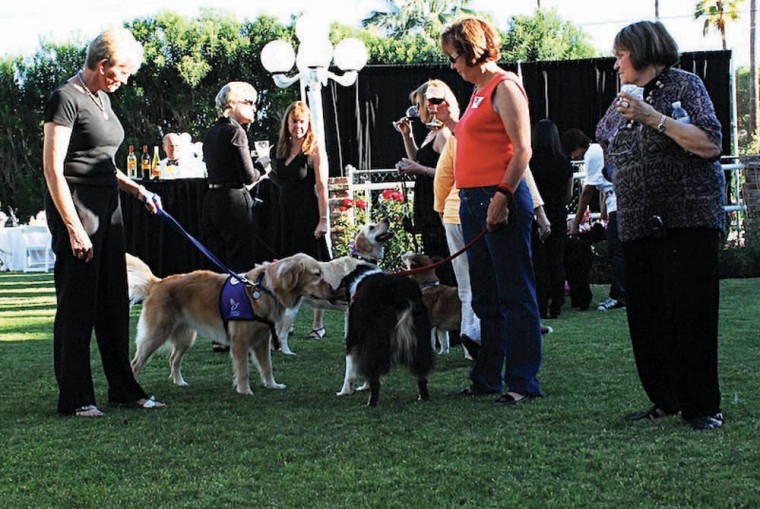 Dine With Your Dog