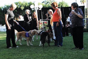 Dine With Your Dog