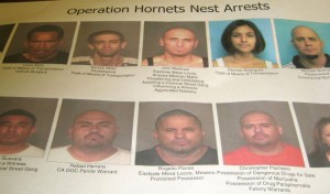 Operation Hornets Nest
