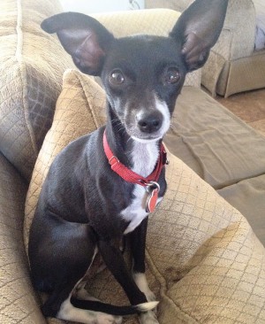 Someone to love: Gianna