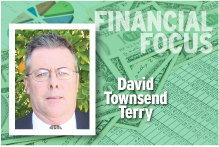 Financial Focus David Townsend Terry