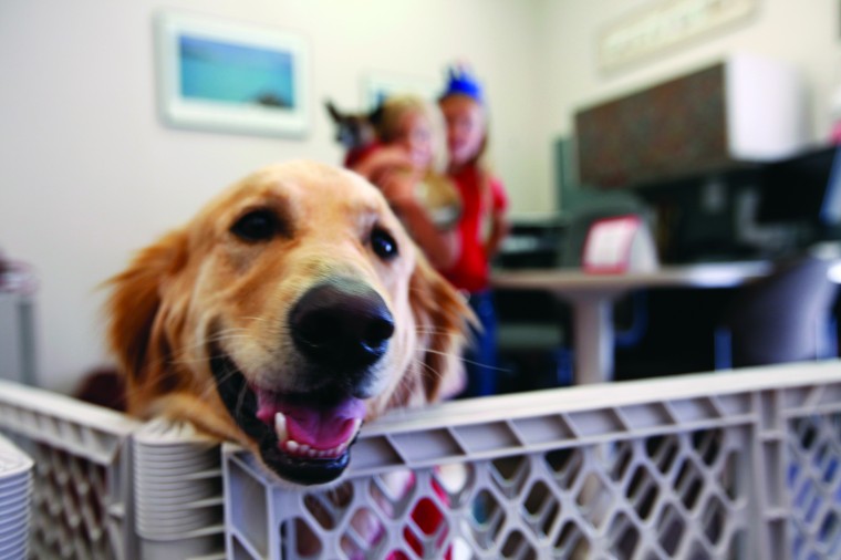 Take Your Dog to Work Day