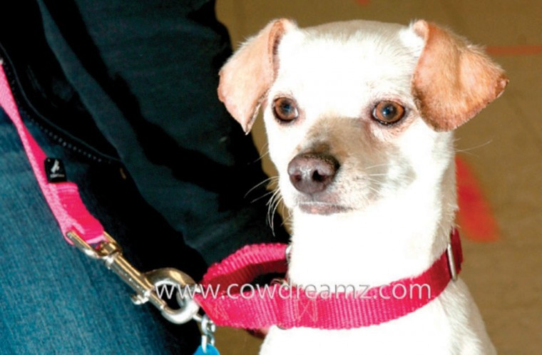 Someone to love: Cosmo