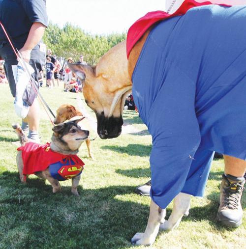 Barktoberfest