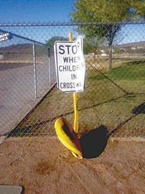 Crosswalk signs have taken a hit